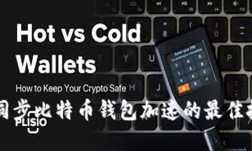 立即了解同步比特币钱包加速的最佳技巧与方法