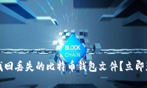 2023年如何找回丢失的比特币钱包文件？立即获取实用指南！