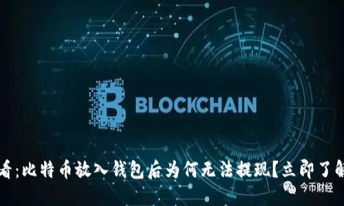 2025年必看：比特币放入钱包后为何无法提现？立即了解解决方案！