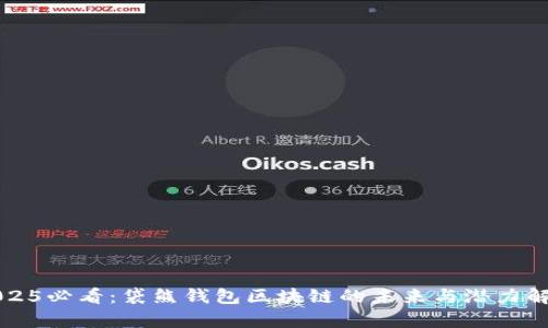 2025必看：袋熊钱包区块链的未来与潜力解析