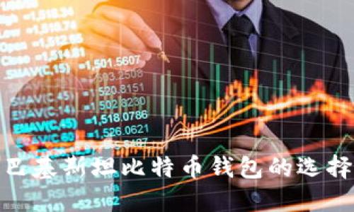 2025必看：巴基斯坦比特币钱包的选择与使用指南