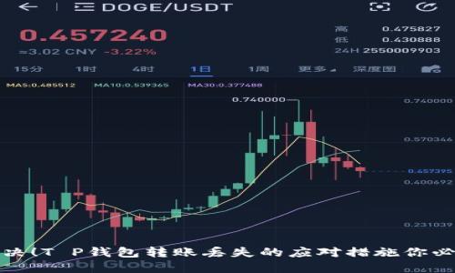 立即解决！T P钱包转账丢失的应对措施你必须知道