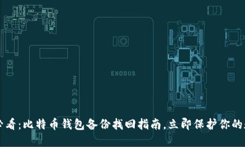 2025年必看：比特币钱包备份找回指南，立即保护你的数字资产!